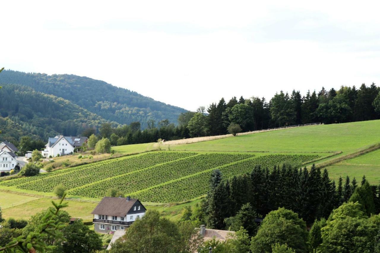 Gretel Von Birne Hotel Winterberg Exterior photo